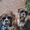 maxpaddy6