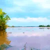 taif_nef_06