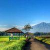 damarkurniawan09