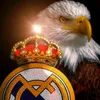 seee_596