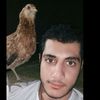 emir79732