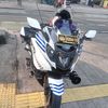 gapong.gapong8