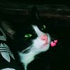 storykeren5