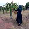 komaraherawati