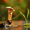 mohamedguerni0