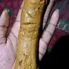 mandurukot31