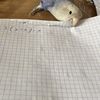 gabrielkanevsky5