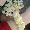 rabiya.malik36