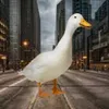 mccitygoose