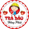 tim.tr.du.hay.mt