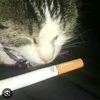 bong_7550