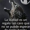 jorgefernandez692