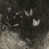 sumi_taylors.version