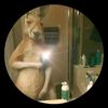 user4402349314071