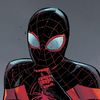 spider.mxn.cc