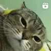 miuxinhiudayhihi