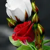 user5804034490040