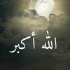 user7079516169017