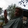 greg31946