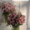 monay_00