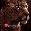 samir_23_1