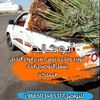 user4491628750130