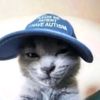 paw.tr4ilz_