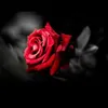 wafaz04