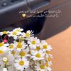 user6143184147676