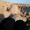 tarmi2603