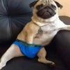 jaxsondyer6