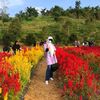 yatni.banten_ipm