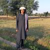 dalilwazir