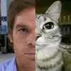 daniil_ab