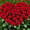 user317010025077