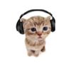 barthemeow_the_3rd