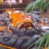 prabin_yadav1