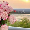 user2113443633796