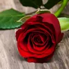 xosnawm222