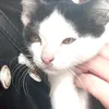 meoden_09_cutephomaique