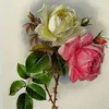 mohammedalhassni3