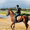 mohamedmoh0585