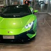 aminezorqany