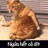 yyypp97