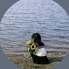 roolo_2