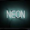 neonb365