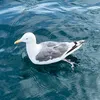 tako_0572