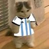 samuel.ronaldo33