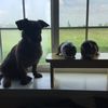 fz_buddy_chunk_stormy