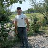 eliko332